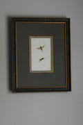 Antique Hand-Colored Insect Engraving, Edward Donovan Plate 197, Framed Natural History Art