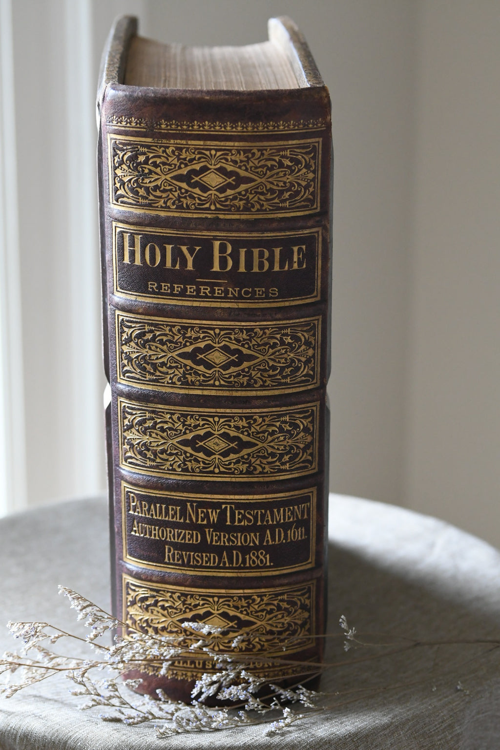 Exceptional 1881 E.W. Sawyer Victorian Family Bible with Original Working Clasps | Blank Genealogy Pages | Nearly 2,000 Illustrations