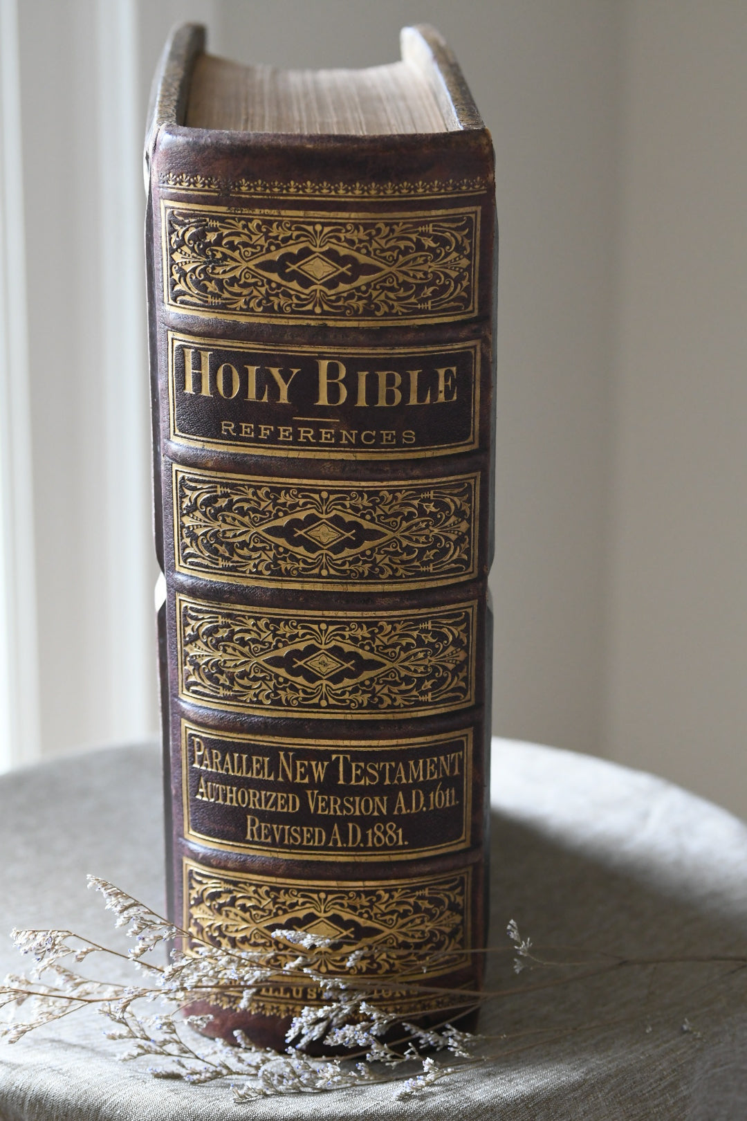 Exceptional 1881 E.W. Sawyer Victorian Family Bible with Original Working Clasps | Blank Genealogy Pages | Nearly 2,000 Illustrations