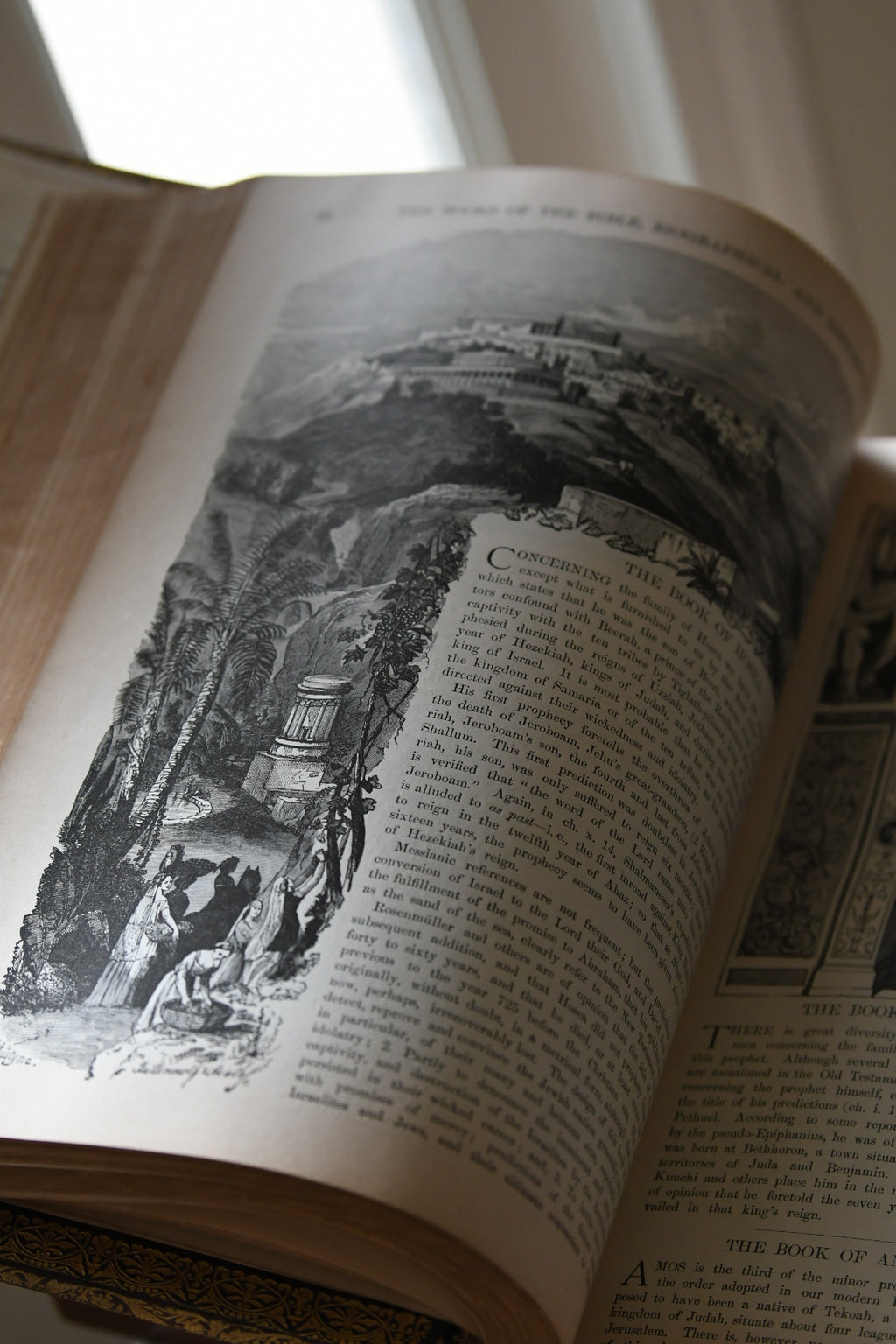 Exceptional 1881 E.W. Sawyer Victorian Family Bible with Original Working Clasps | Blank Genealogy Pages | Nearly 2,000 Illustrations