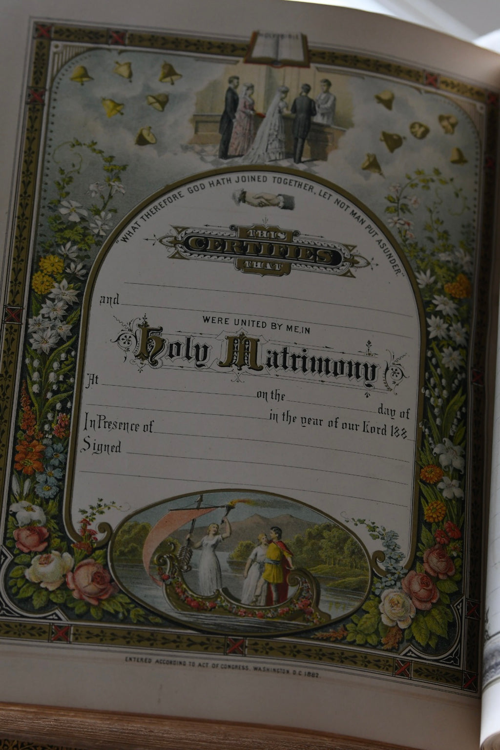 Exceptional 1881 E.W. Sawyer Victorian Family Bible with Original Working Clasps | Blank Genealogy Pages | Nearly 2,000 Illustrations